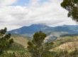 Panorámica sierra