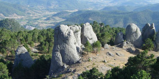 Panorámica Picarazos